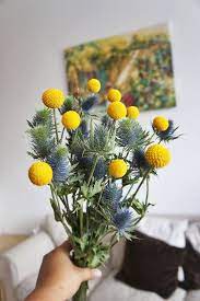 Dried Thistle With Craspedia Bouquet Wedding Bouquet Preserved Flower For Decoration A Bunch Of Drie Rustic Wedding Bouquet Flowers Bouquet Wedding Bouquets
