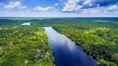 Image result for "Amazon River"