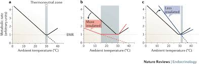 The brief trade analysis presented above is my predicted direction. Warming The Mouse To Model Human Diseases Nature Reviews Endocrinology