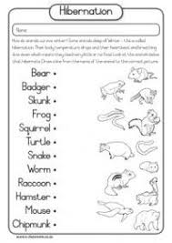 Winter Hibernation Adaptations Worksheets Animals That Hibernate Butterfly Lessons Kindergarten Science
