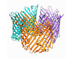 A Pandora's box': map of protein-structure families delights scientists