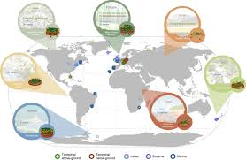 Keep it free from unwanted insects with pest control solutions from above & beyond pest elimination llc in tucson, az. Predator Traits Determine Food Web Architecture Across Ecosystems Nature Ecology Evolution
