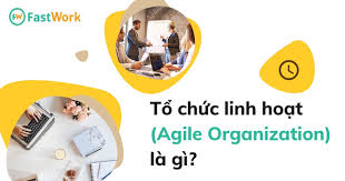 Agile Organization là gì? Hành trình để trở thành một tổ chức linh hoạt