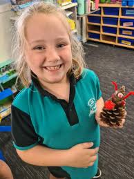 Veresdale Scrub State School‎