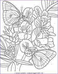 344 Best Dover Samples Butterfly Bird And Flower Coloring Books Coloring Pages Stained Glass Patterns Free