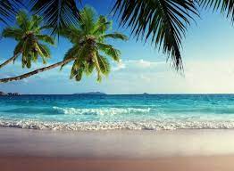 Beach sea nature ocean island water travel summer vacation. Hd Tropical Beach Landscape Wallpaper Desktop Images Wallpapes High Resolution 4k Wallpaper