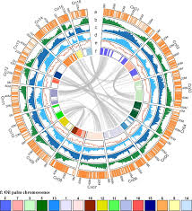 Don't miss out on great hotels and other accommodations near bluefin rock harbor marina. Coconut Genome Assembly Enables Evolutionary Analysis Of Palms And Highlights Signaling Pathways Involved In Salt Tolerance Communications Biology