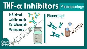 Image result for TNF Inhibitor