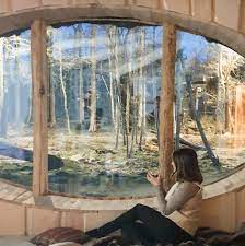 slapen bij de beren en wolven pairi daiza dierenpark beer wolven