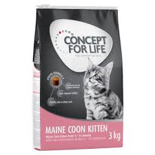 Maine coons on average measure 39 to 40 inches long. Concept For Life Maine Coon Kitten Gunstig Kaufen Zooplus