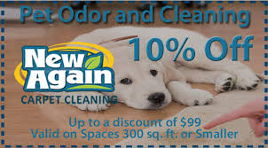 specials fort wayne carpet cleaning