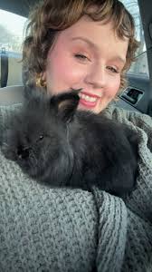 Lion head rabbit litter training issues at night