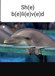 Only 14 Year Old Dolphins Will Understand Funny Memes Funny Memes