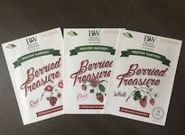 Start strawberry plants from seed, and then propagate by cuttings and runners. Growing Strawberry Plants From Seeds Planters Place