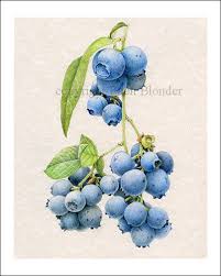 Pin On Fruits Et Legumes