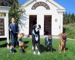 Dog mountain is a nonprofit set on 150 acres on a private mountain top spot in st. On Dog Mountain Glorious Vermont Alta Tollhaus