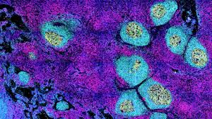 Download bahan membuat slip gaji.docx diupload gudang basi pada 11 may 2020 di folder document 16.29 kb. The Coronavirus May Shut Down The Immune System S Vital Classrooms Science Aaas