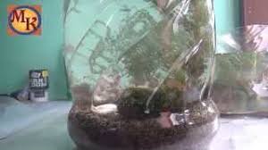 Tips cara membuat aquarium mini besar sendiri,akuarium unik,hiasan dari dinding memakai barang bekas aquarium air laut atau aquarium air tawar adalah salah satu hiasan yang di dalam rumah untuk menarik pandangan kepada orang lain yang ingin mau berkunjung atau silaturahmi ke rumah kita. Aquascape Buatan Sendiri Dari Bekas Galon Air Mineral By Mirza Kafrawi