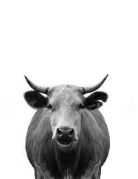 Black And White Cow Pictures To Print Minimal Cow Wall Art Cow Wall Art Metal Tree Wall Art Animals Black White