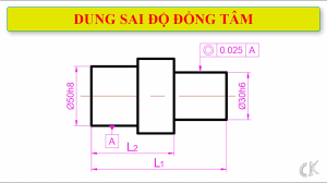 Dung sai - Dung sai độ đồng tâm.