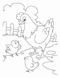Ayam jantan memiliki jengger yang lebih besar dibandingkan dengan ayam betina. Gambar Mewarnai Ayam Untuk Anak Tk Sd Dan Paud