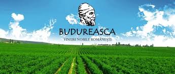 Crama Budureasca Un Brand Inspirat De Vremurile Dacilor Imperialtransilvania