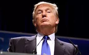 Miami Judge Throws Out Pottinger Homeless-Protection Law