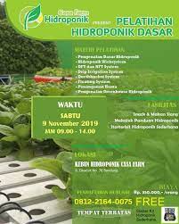Hobi Yang Menghasilkan Uang Call 0812 2164 0075 Tanaman Hidroponik Berkebun Hidroponik Hidroponik Latihan