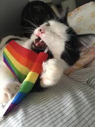 Pin On Cats Holidays Oh The Humanity