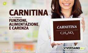 Il manganese contribuisce al normale metabolismo energetico e alla protezione delle cellule dallo stress ossidativo.contenuto netto della confezione: Carnitina A Cosa Serve Dove Si Trova E Come Integrarla