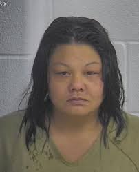 DUI Arrest in Knox County, Tennessee: April Lynn Rudder