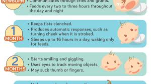 know your babys first year milestones infographic