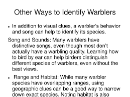 How To Identify Warblers Ppt Download