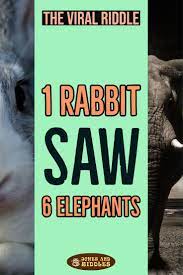 1 Rabbit Saw 6 Elephants Jokes And Riddles Jokes And Riddles Riddles Funny Riddles