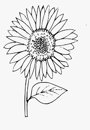 Check spelling or type a new query. Outline Sunflower Coloring Plant Free Picture Outline Images Of Sunflower Hd Png Download Kindpng