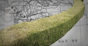 Great hedge of India salt tax customs line