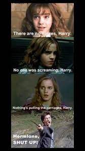 Hermione Harry Potter Fanfiction Harry Potter Memes Harry Potter Puns