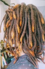 Maya Sagini 2nd Set 3 Years Locs Hairstyles Hair Styles Beautiful Dreadlocks