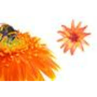 We did not find results for: Staker Floral Linkedin