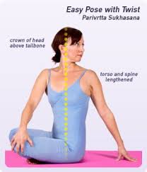 Pin On Yoga Beginners Poses