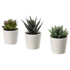 Fejka Artificial Potted Plant With Pot Indoor Outdoor Succulent 2 3 Pack In 2020 Ikea Plants Artificial Plants Fake Plants