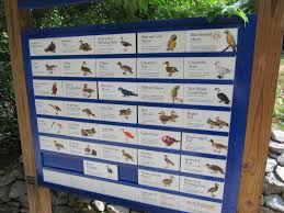 Sylvan heights bird park thanks the b. Sylvan Heights Bird Park South American Aviary Species List Zoochat
