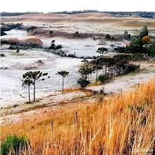 O frio sentido nos últimos dias no brasil, especialmente nas regiões sul e sudeste, devem continuar nos próximos dias. Temperatura De 8 C Negativos No Sul Do Brasil Noticias Climatempo