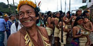 So the rain forest remained almost untouched by the western culture until the first half of last century. Amazon Tribe Saves Millions Of Acres Of Rainforest After Beating Big Oil And Government In Court Battle Intelligent Living