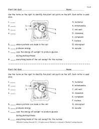 The plant cell quiz bluebird teaching materials. Plant Cell Model And Quiz Ce 4 By Bluebird Teaching Materials Tpt