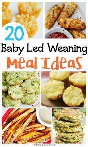 Family Recipes For Baby Led Weaning Baby Food Recipes Weaning Foods Baby Led Weaning Recipes