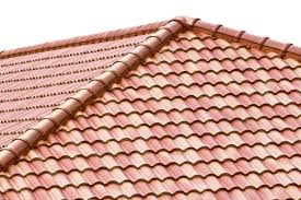 Algae can cause unsightly stains and growths on your new roof. Some Of The Best Maintenance Tips For Clay Tile Roofs