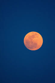 Available for hd, 4k, 5k pc, mac, desktop and mobile phones. Moon Wallpapers Free Hd Download 500 Hq Unsplash