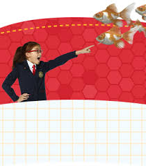 Their customer support service deals with so many customers on a daily basis that they had to offer multiple direct phone lines for multiple departments. Fred Rogers Productions