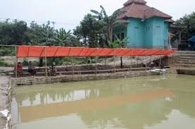 Muncul Jaya Kolam Pancing Ikan Mas Harian Mata Kail Wajib 2 Kabar Mancing